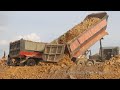 Best trucks at work | Dump trucks dumping dirt | ឡានបែនចាក់ដី