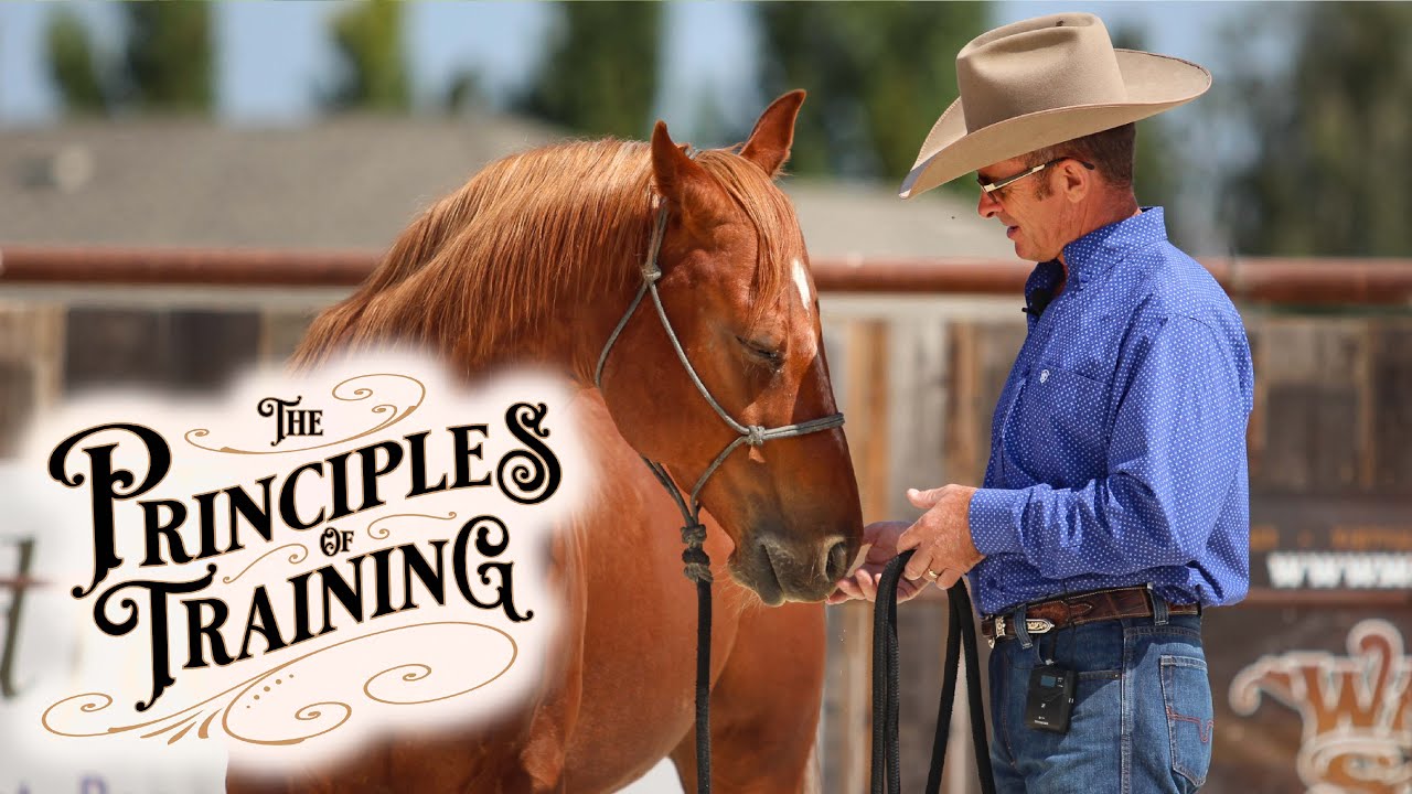 The Principles of Training Season 3 Episode 2: 