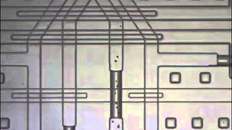 Real-time tracking, retrieval and gene expression analysis of migrating human T cells