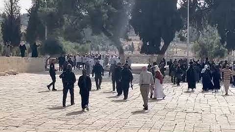 لأول مرة مستوطنون يؤدون ما يسمى "السجود الملحمي" في المسجد الأقصى المبارك