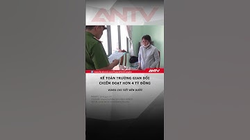 Kế toán trưởng gian dối chiếm đoạt hơn 4 tỷ đồng #antv #shorts #tintuc #luadao #binhduong