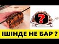 ТАСБАҚАЛАРДЫҢ ІШІНДЕ НЕ БАР ? ҰЗАҚ ӨМІРДІҢ ҚҰПИЯСЫ