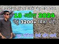      18  2024 jaora mandi update bhav today fresh wheat soyabean rate wheat