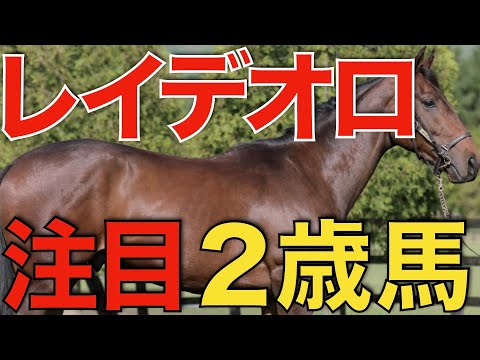 2世代目から本気出す！レイデオロの注目2歳馬を紹介。 - YouTube
