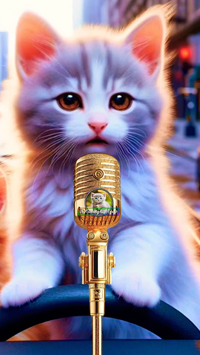 Kucing Sholawatan Anta Syamsun Anta Badrun #kucingnyanyi #kucingsholawatan #kucinglucu