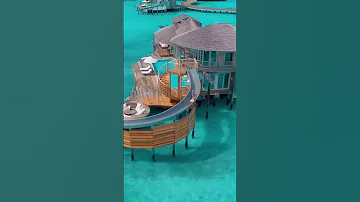 Beautiful Place Shorts 