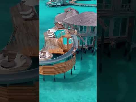 Beautiful Place Shorts