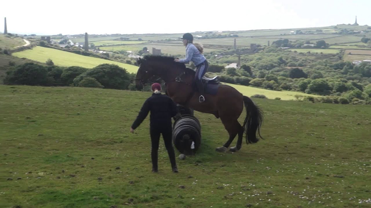 gcse pe coursework horse riding