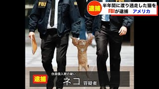 猫がFBIに逮捕されてツボるアナウンサー