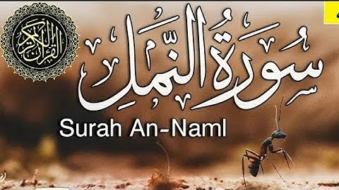 سورة النمل قراءة خاشعة لهشام الهراز #sourat_al_naml_