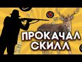 ЧТО БУДЕТ ЕСЛИ ПРОКАЧАТЬ СКИЛЛ ОХОТНИКА Я В ШОКЕ 🤯 BLACK RUSSIA RP CRMP MOBILE