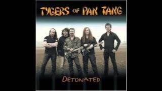 Tygers of Pan Tang - Take It