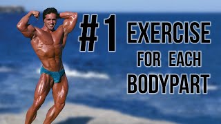 Most Important Exercises for Each Bodypart - Training Tips by John Terilli, Mr Universe