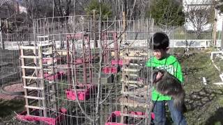 Spring Gardening Ideas - Preview by Young Gardener Aiman a.k.a. The Little Green Man