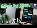 三星 Tab S9 FE+ 评测: 屏幕是大，但遗憾更大 【LexTech 第254期】