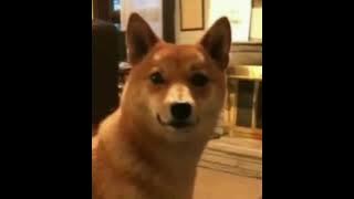 Matt Hardy 999 but it's the best part on  loop