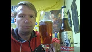 ПП: Форштадтская пивоварня Алтайское Amber Lager