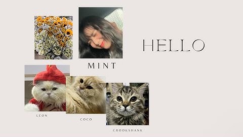 Introduction for work & travel 2023 (I4 group)