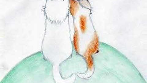 Cloud x Bright - Will You Be There?