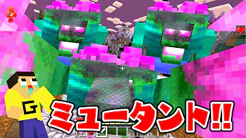 マイクラrpg 配布ワールド ぐっちの部屋 ミラクルぐっち