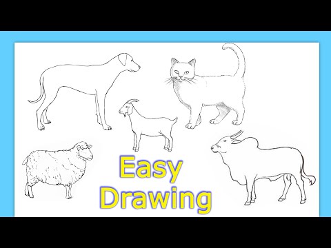 Animal Drawing PNG Transparent Images Free Download | Vector Files | Pngtree