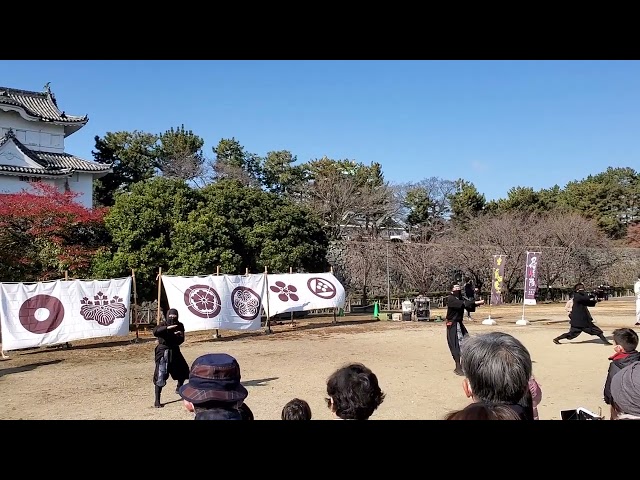 Ninja Performance in Nagoya Castle class=