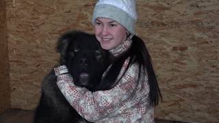 Любовь всей моей жизни Любовь всей моей жизни