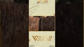 Gold Vision Metal Detector & 3D Ground Scanner - Introduction