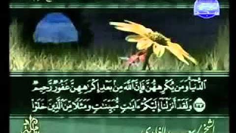 سورة النور الشيخ سعد الغامدي