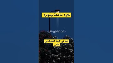 تلاوة خاشعة ومؤثرة جدا #instagram #تلاوة_مميزة #القرآن_الكريم #سورة_الكهف #reels #تلاوة_خاشعة