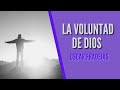 REFLEXIONES - Óscar Fradejas | #70 Conocer la voluntad de Dios - MENSAJES DE ÁNIMO