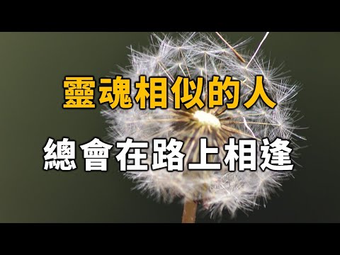 2023 靈魂相似的人，總會在路上相逢!50歲要記住，這關係到你晚年的幸福 People with similar souls will always meet on the road!【愛學習 】