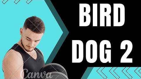 05 (BIRD DOG 2) PATH-FIT 1 PE NON-LOCOMOTOR Stabilization Skills LESSON 9