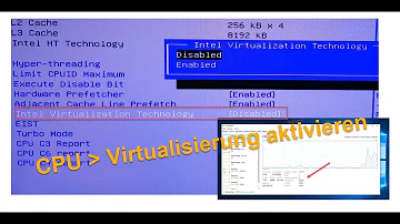 Wie aktiviere ich die Virtualisierung im BIOS?
