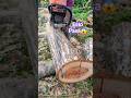 Esto solo pasa con las mejores maderas..!! #woodwork #asmrvideo #chainsaw