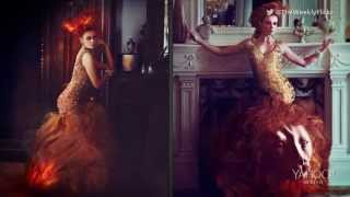 The Lady Gaga of Flickr photography