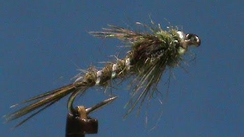 Beginner Fly Tying a Beadhead Olive Mayfly Nymph with Jim Misiura