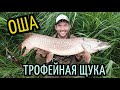 Ловля ЩУКИ на ПОРОЛОН. Джиг на реке ОША