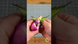 Von der klassischen Rose bis zur traumhaften Pfingstrose – die Natur in voller Pracht! 🌿💫