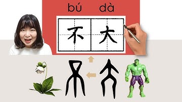 不大/buda/(not very)How to Pronounce/Say/Write Chinese Vocabulary/Character/Radical