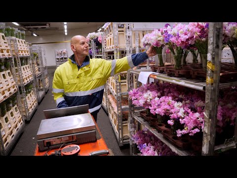 The Royal FloraHolland Approval inspection: How does it work?