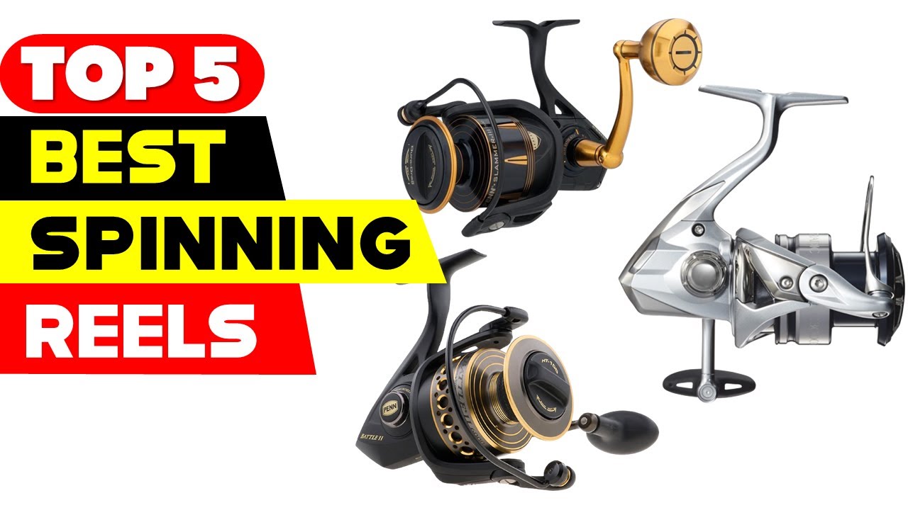 Surf Fishing Reels: How To Choose 