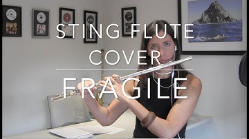 Fragile (Sting) flute cover - Carina Bruwer