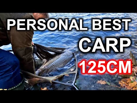 TOP 10 Fishing videos best of new Carp fishing latest video Lov kapra  Karpfen angeln karper karp #fishing #fishingvideos #stream #fishhobo  #outdoors 