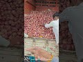 #आजचेकांदाबाजारभाव #कांदा #todayonion #gangapur #vegetableprices #farming #streetfood #royalशेतकरी