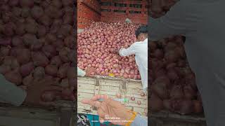 #आजचेकांदाबाजारभाव #कांदा #todayonion #gangapur #vegetableprices #farming #streetfood #royalशेतकरी