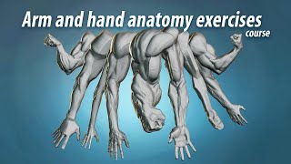 Arm and hand anatomy exercises course announcement