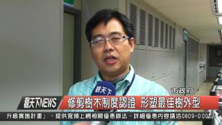 1041210觀天下新聞HD02 修剪樹木制度認證 形塑最佳樹外型