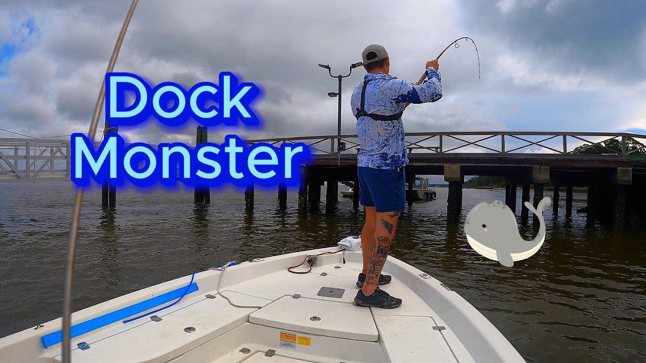Absolute MONSTER under this dock!!! (Going for the INSHORE SLAM) - YouTube
