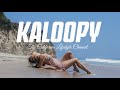 PSA: The Kaloopy Channel is Back - Go Watch 24/7 on DISTRO.TV Channel 96